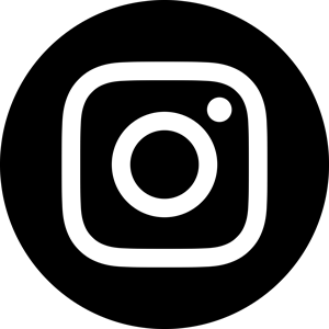 intsagram icon